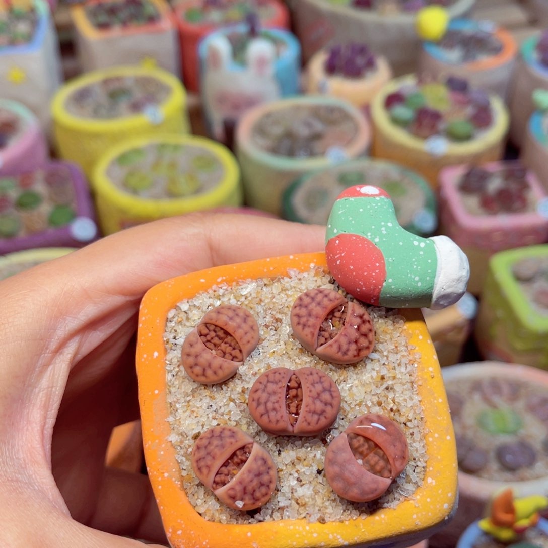 032。88888888888888888888888