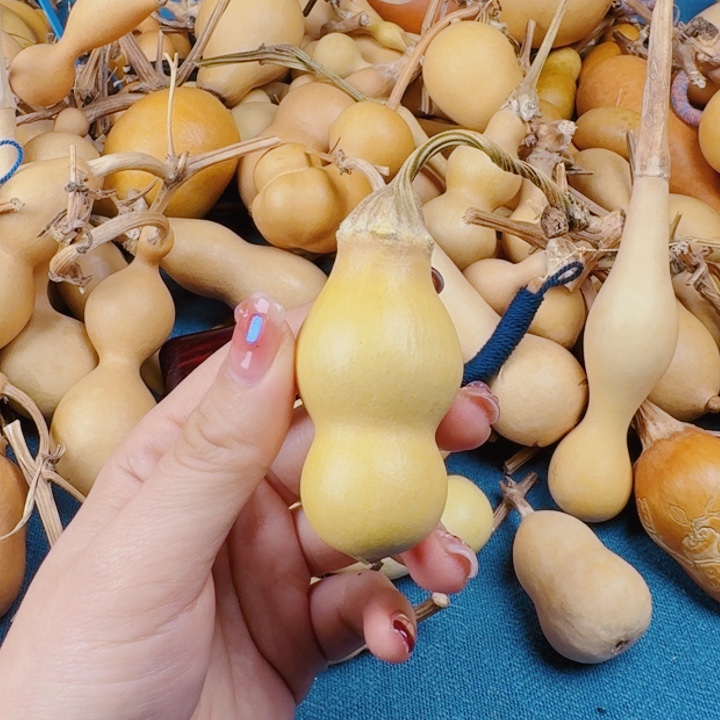 李**来时候湖光山色是生生世世