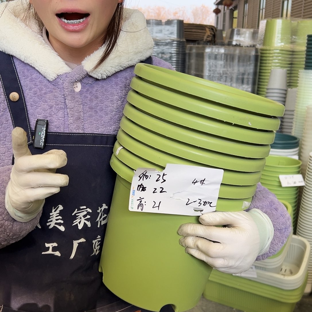 四季盆4#果绿8个无托