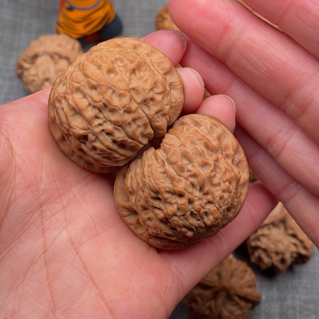 文玩核桃把件40全品血麒麟