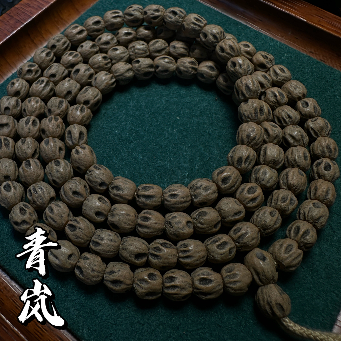 热振柏香籽【青岚】直切满鬼高油密108长串