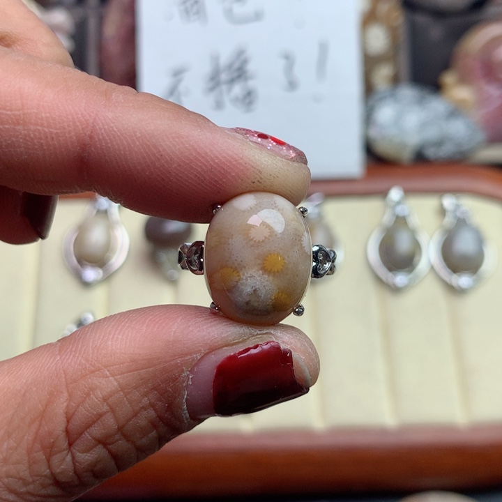 硅化珊瑚（珊瑚玉）颈饰未镶嵌