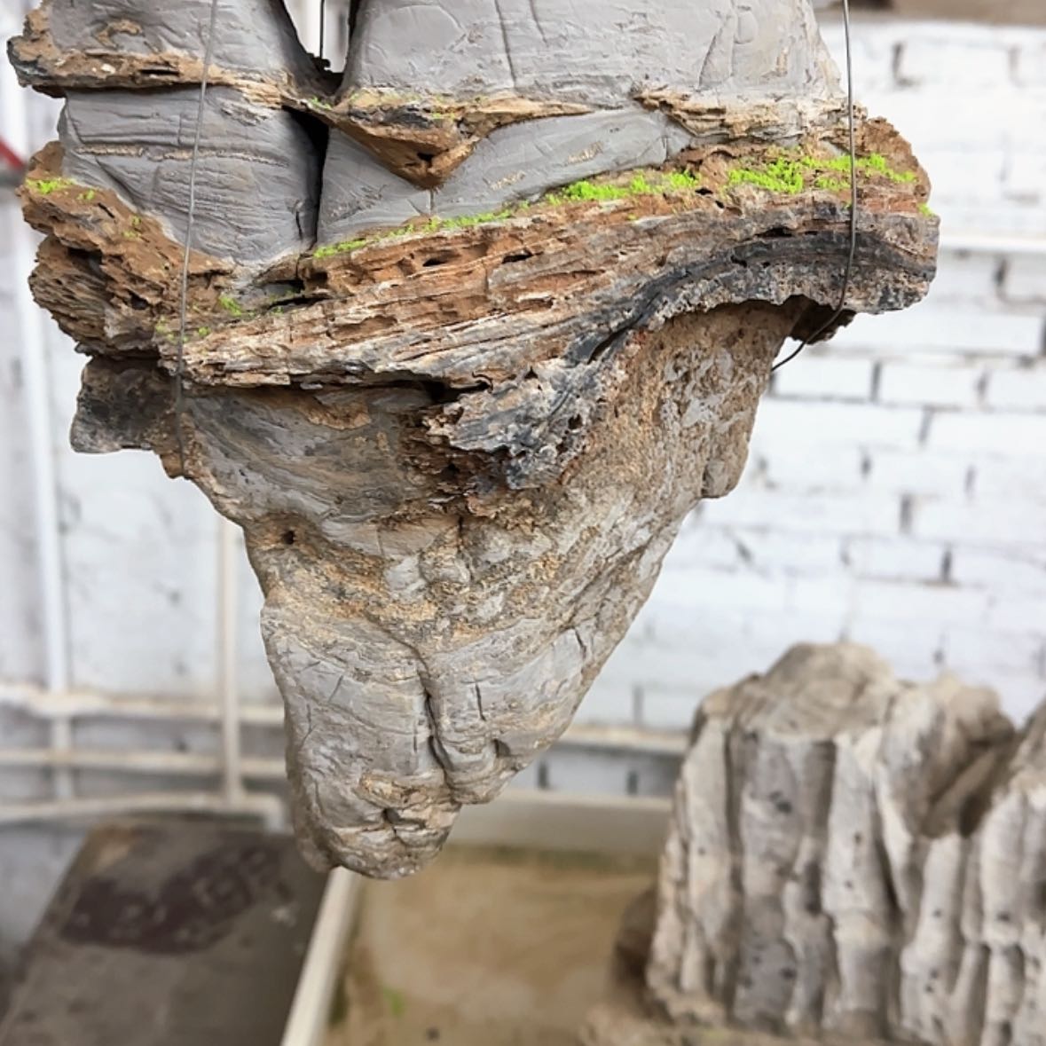 【闪购商品】香榧木洋*出来吃了饭再回去也没事