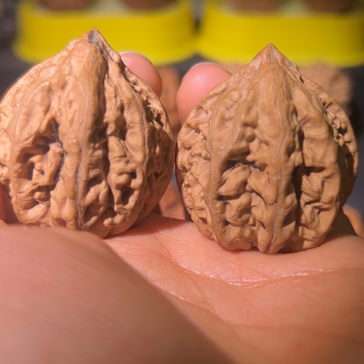 文玩核桃吊坠核桃9