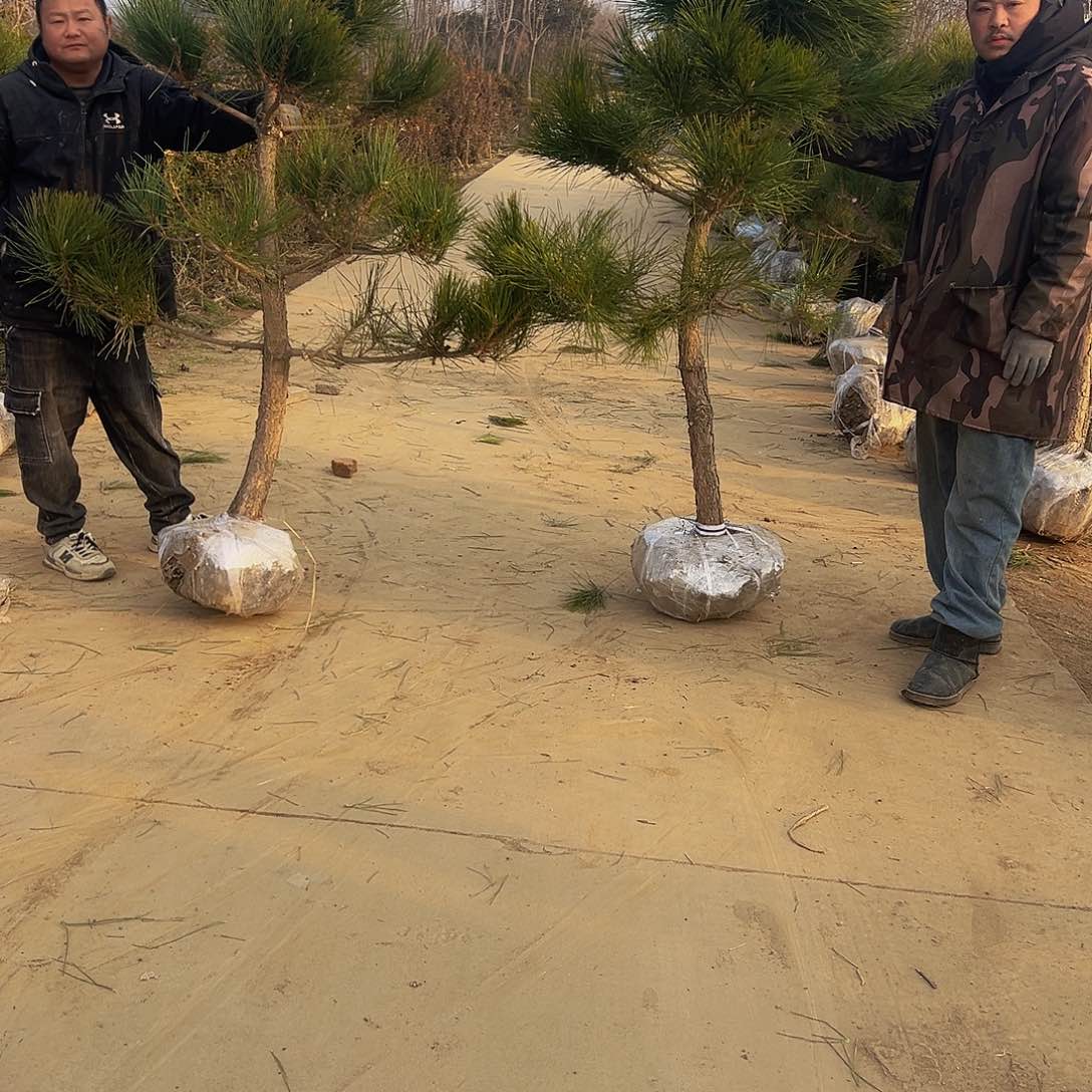 宁****重888888888888888888