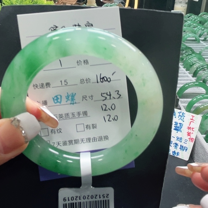 晓***林石英质玉（非洲翠）未镶嵌手镯