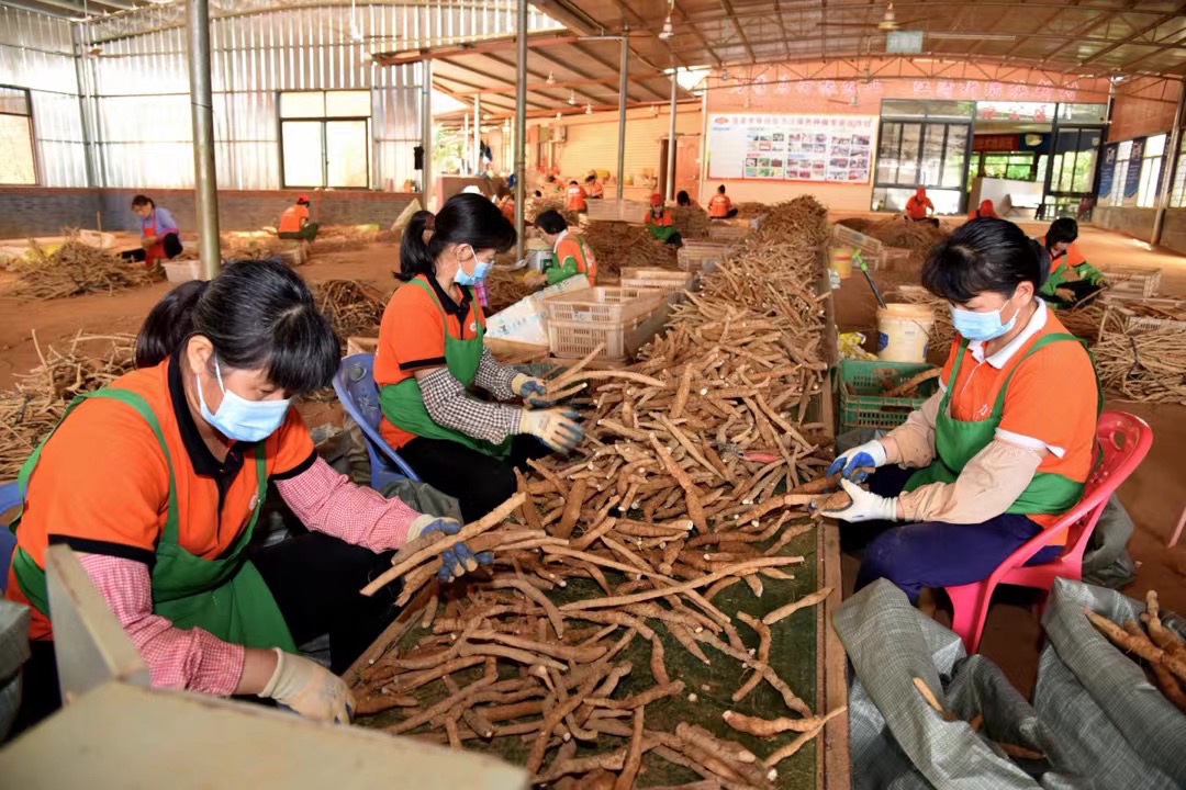 现挑现称新鲜牛大力 以直播间现称为主