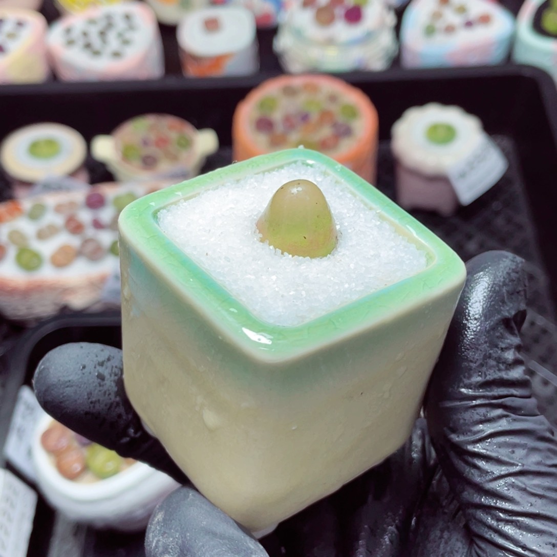 w5526--带盆土发货，零下地区拍保温箱