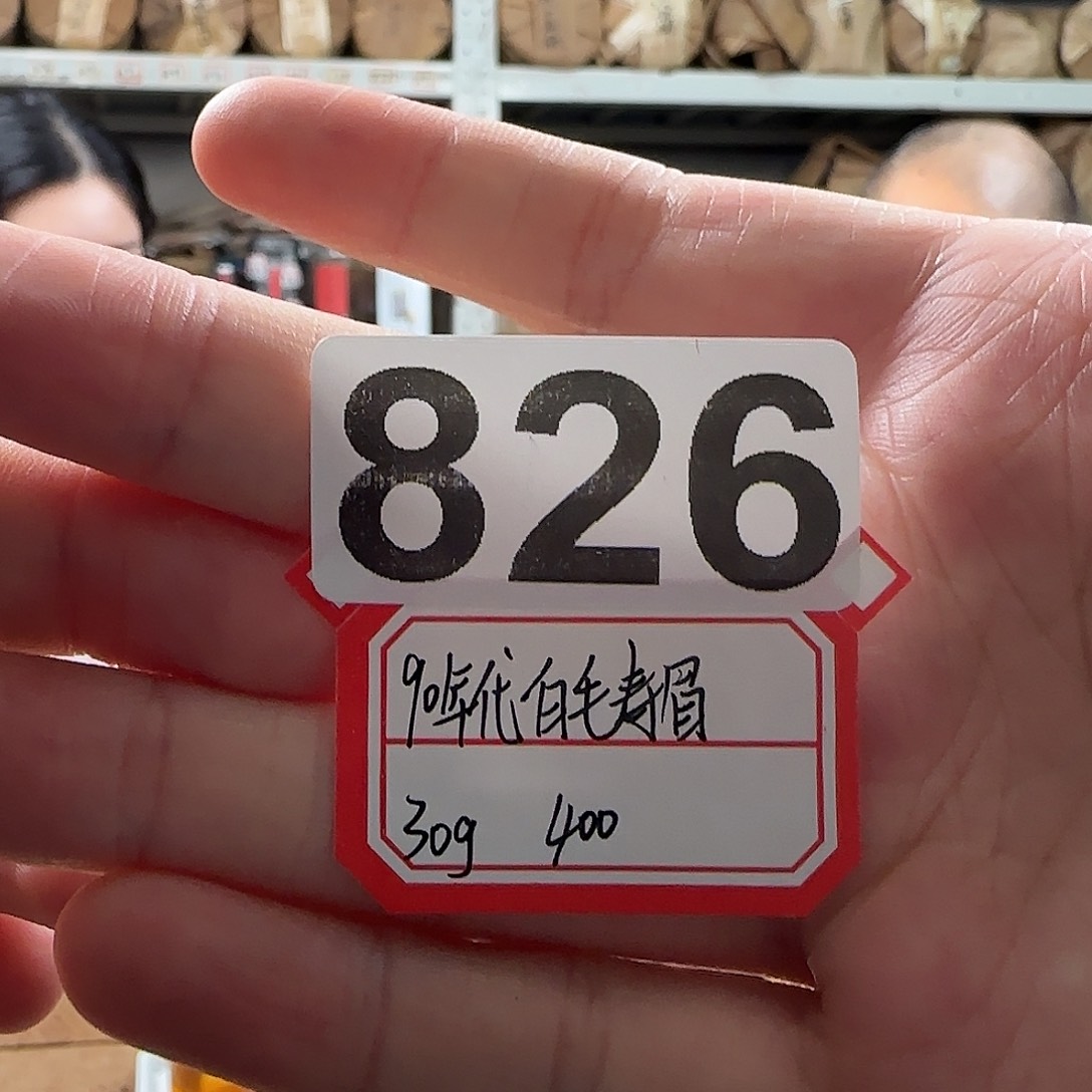 826白毛寿眉品鉴………………………