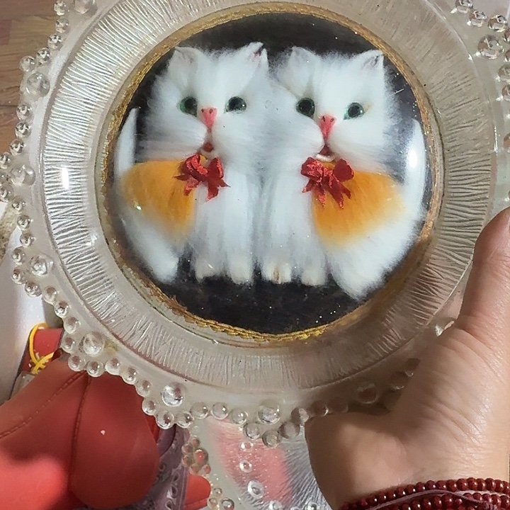 *****扇子csncsnfsnscnscscb