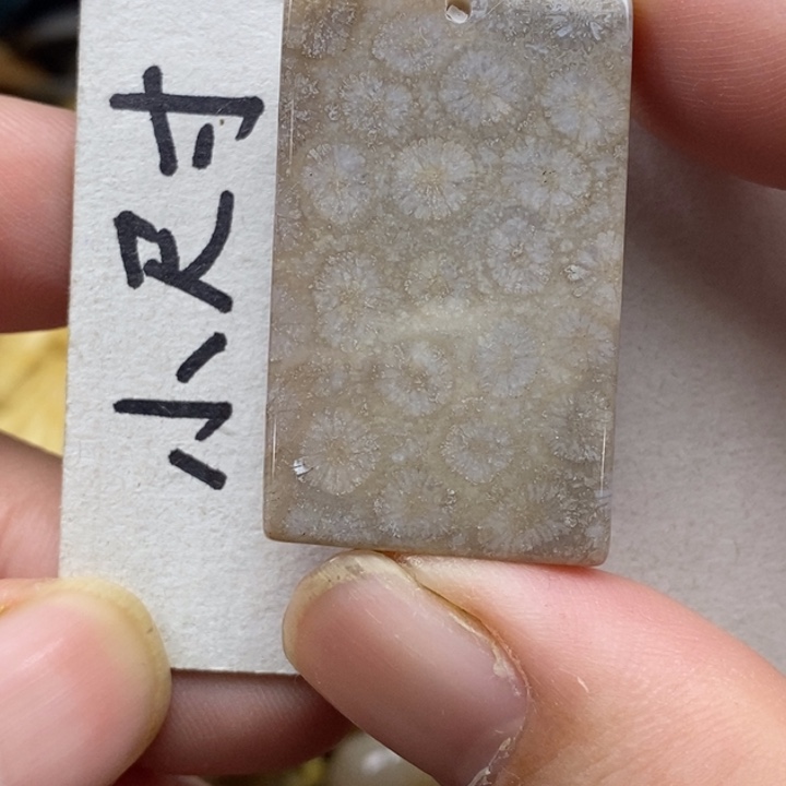 硅化珊瑚（珊瑚玉）未镶嵌颈饰