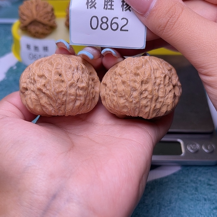 文玩核桃把件南瓜墩45.0862