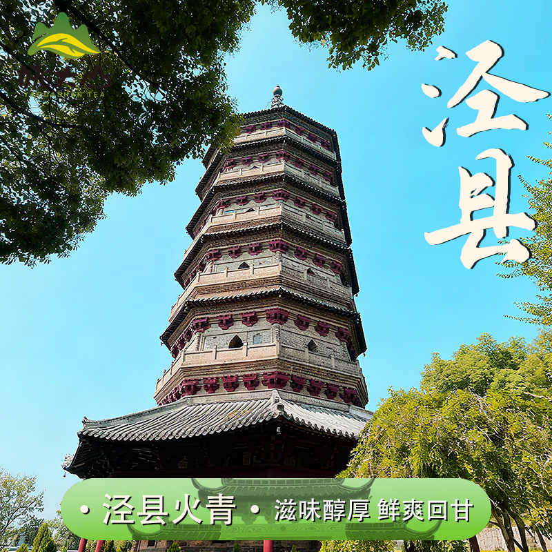 【姚大山】2025泾县火青  特级绿茶 茶叶