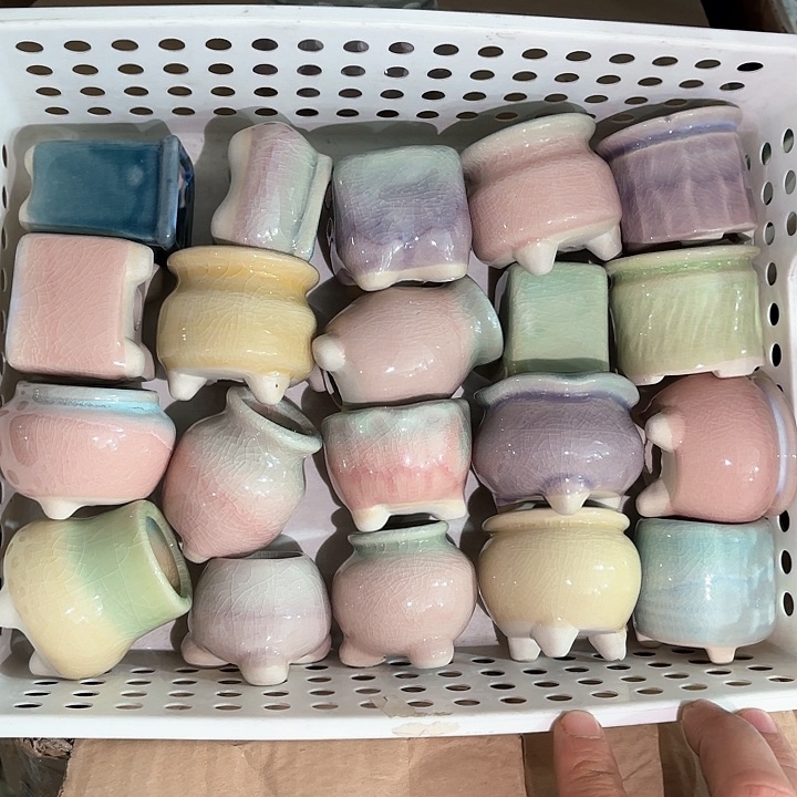 红陶量货｜深浅搭配发12