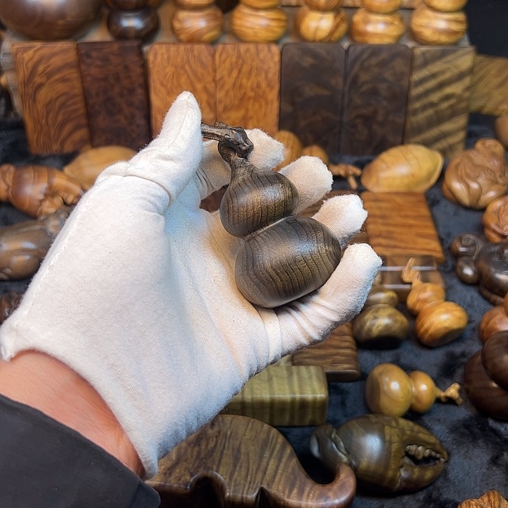 楠木金丝楠木小叶