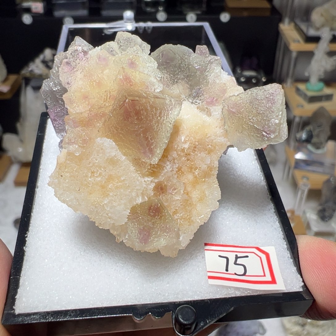 银S925镶嵌大型摆件（非配饰）紫晶