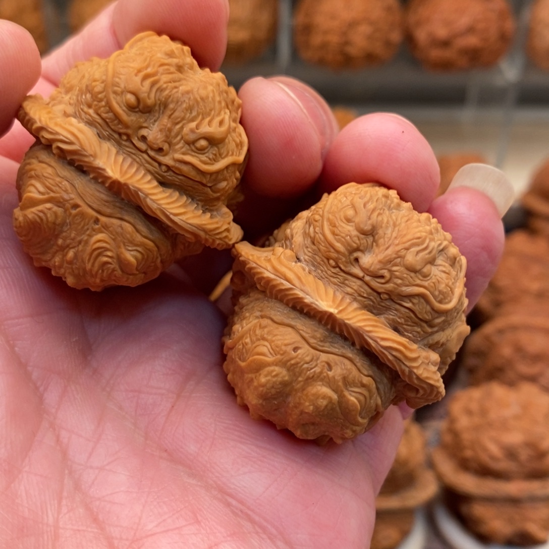 核桃把件开播福利。龙婵睡狮金蝉