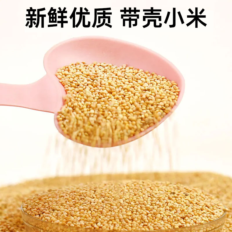 鹦鹉饲料鸟粮带壳黄谷子虎皮玄凤珍珠鸟专用粮食带壳黄谷子鸟粮