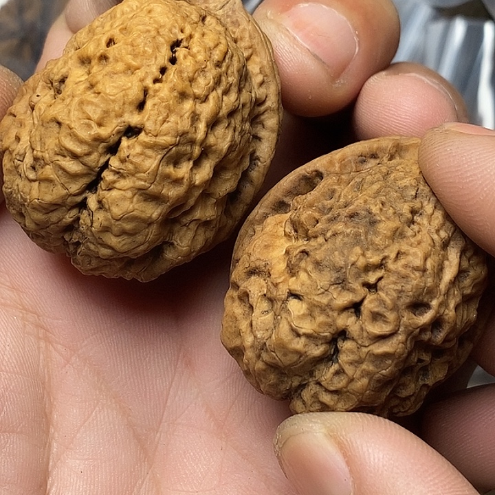 文玩核桃把件云南铁核桃17