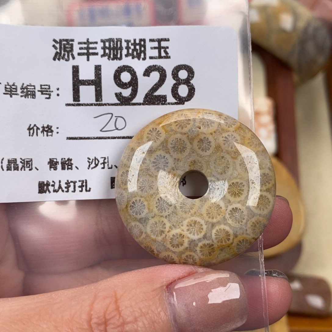 硅化玉颈饰未镶嵌钱*