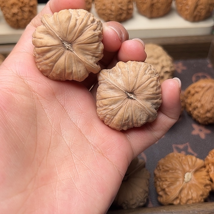 核桃39全品南瓜墩4027