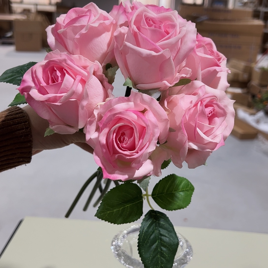1束浅粉手感艾莎玫瑰微瑕不售后