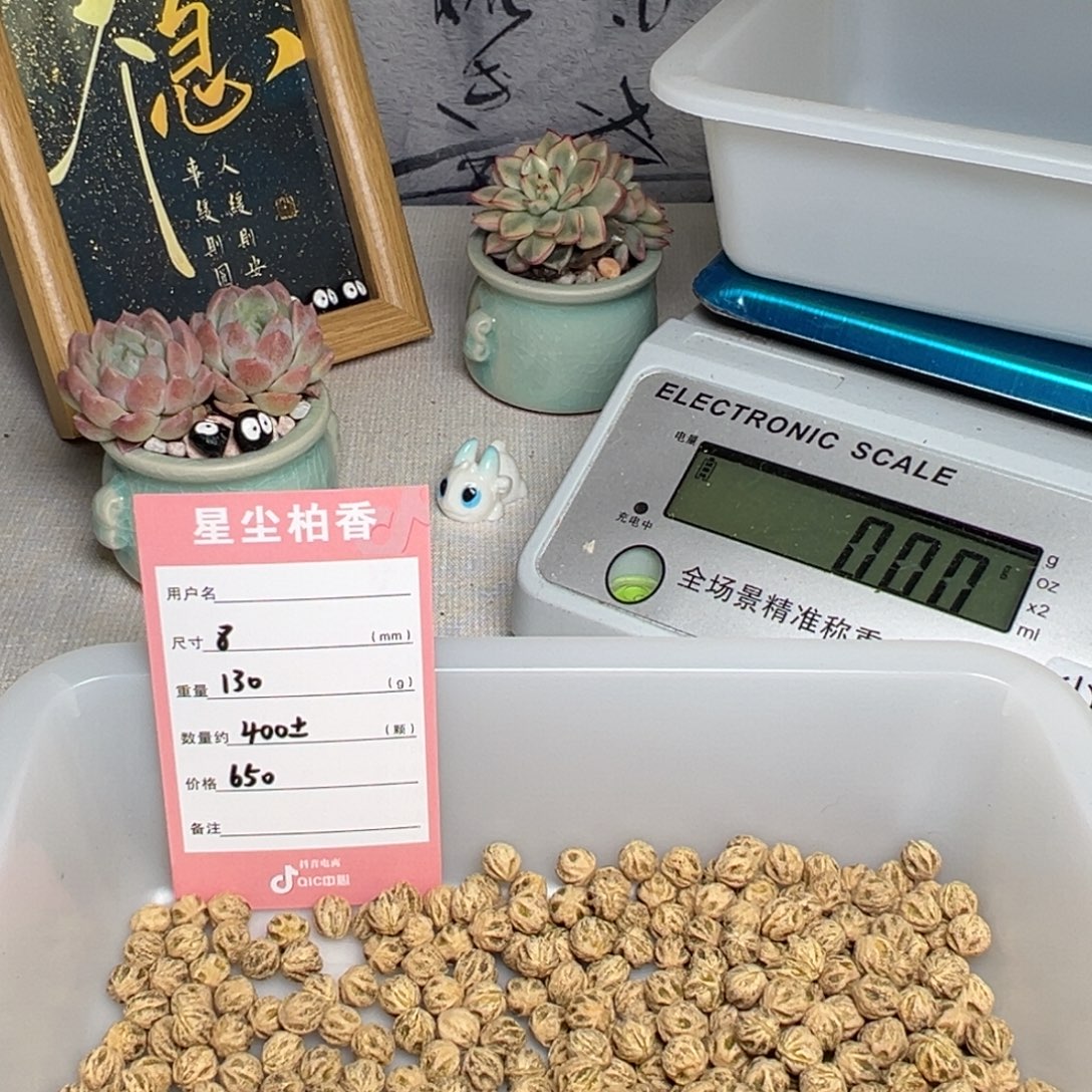 细***香柏香籽/百香籽吊坠