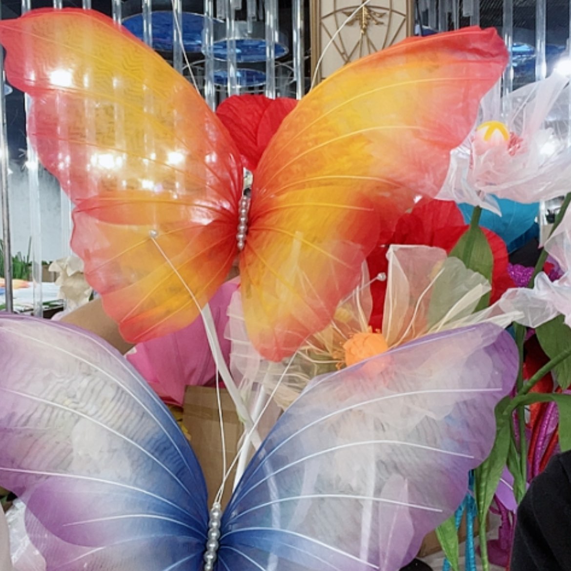 【闪购商品】单蝴蝶