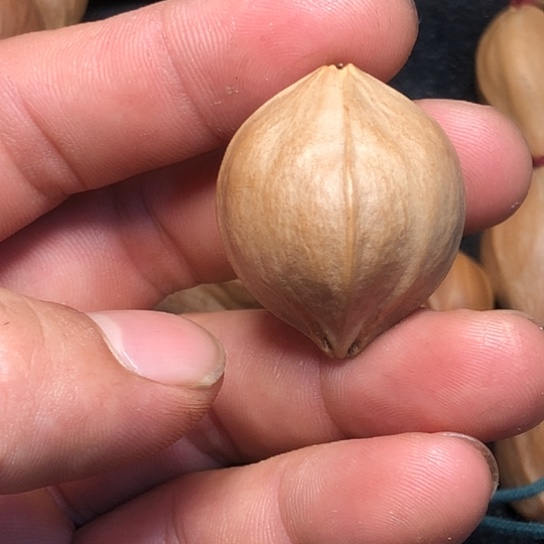 来来咯哦哦哦哦哦哦哦