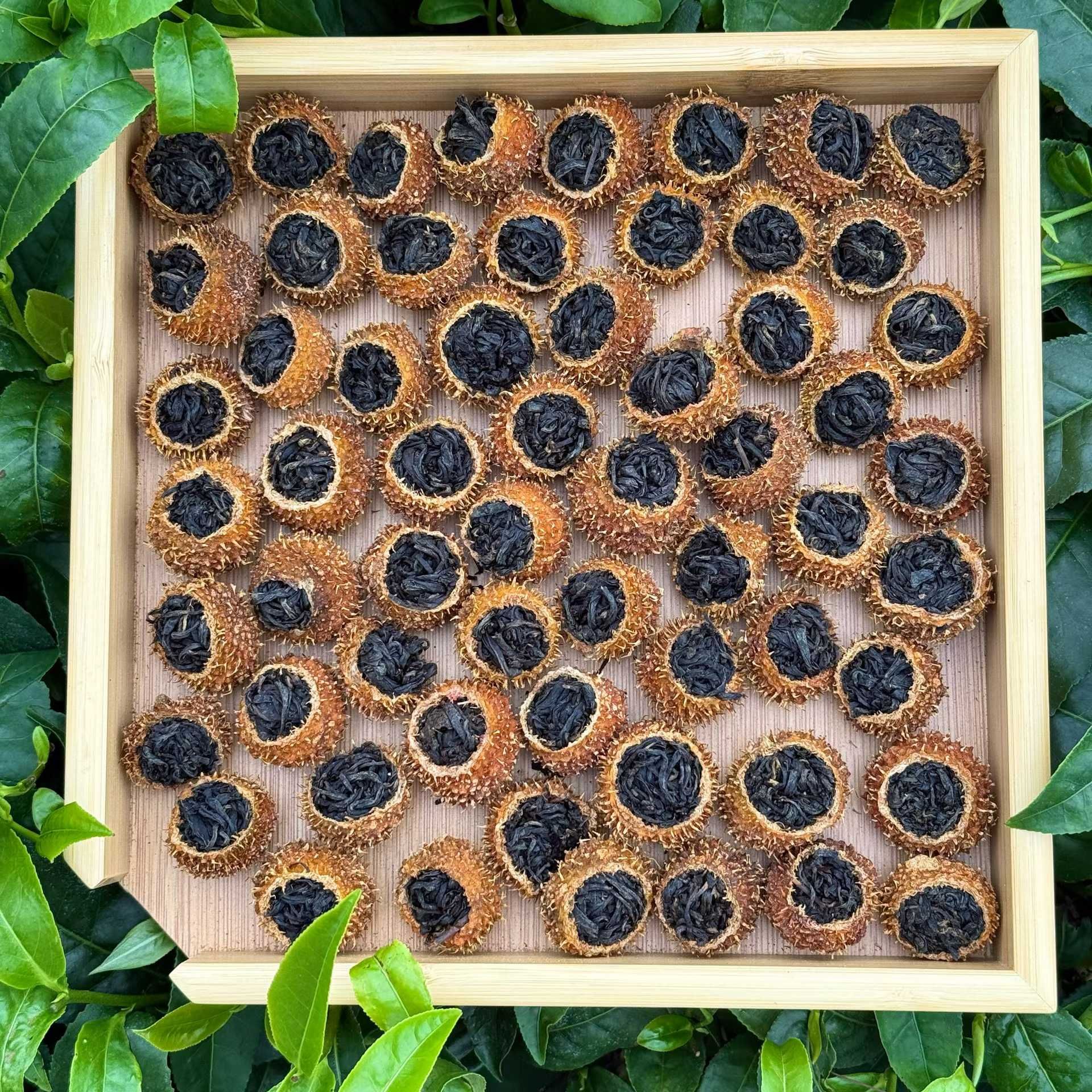2025新品刺梨红茶贵州刺梨鲜果与高山云雾红茶的刺梨红茶