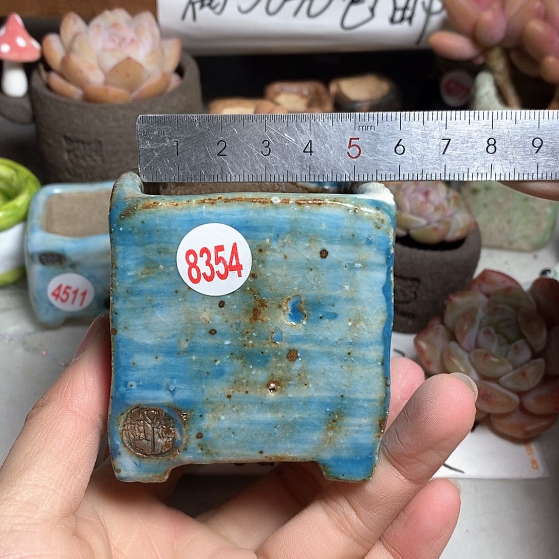 红陶拍5送一个小