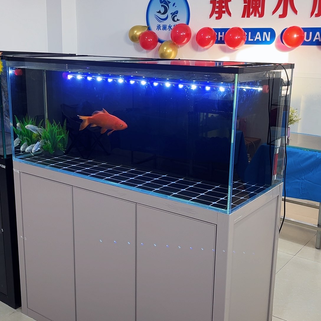 玻璃光*120/50背滤双鱼马桶玻璃盖带全套