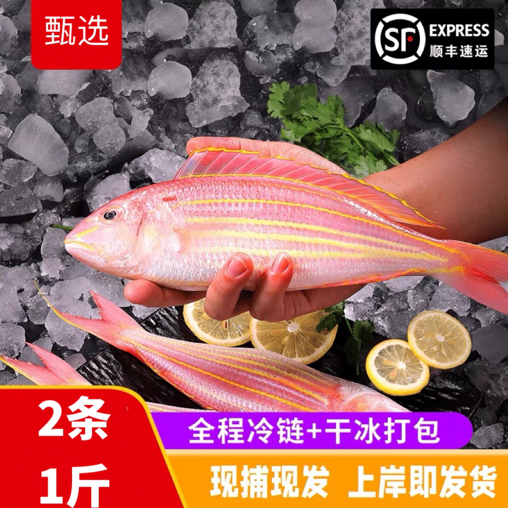 特大号金线鱼 刀里 鲜活冷冻发货1斤2大条帮杀顺丰