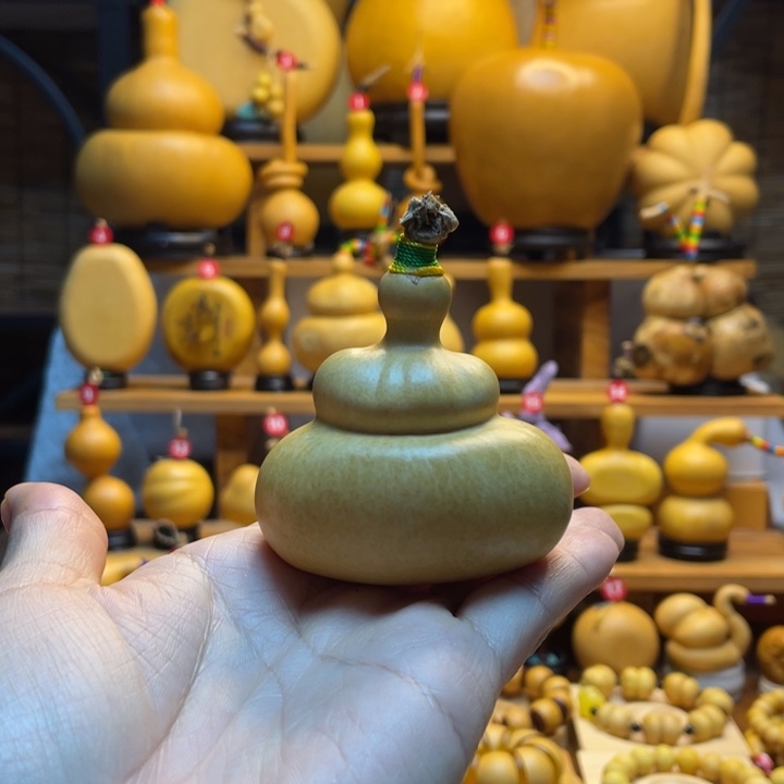 一***城天然葫芦自然生长