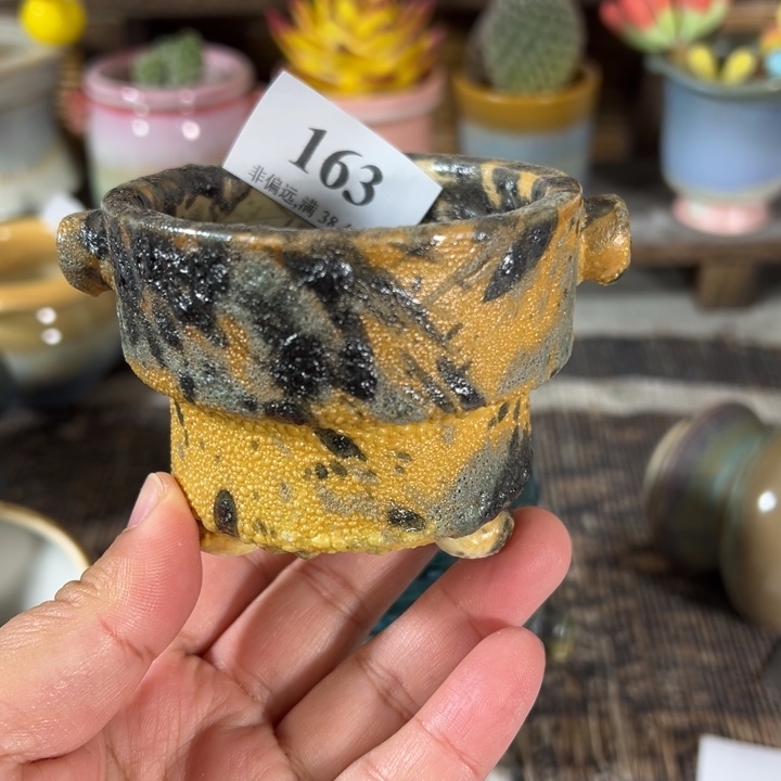 口6 ……未满30运费到付