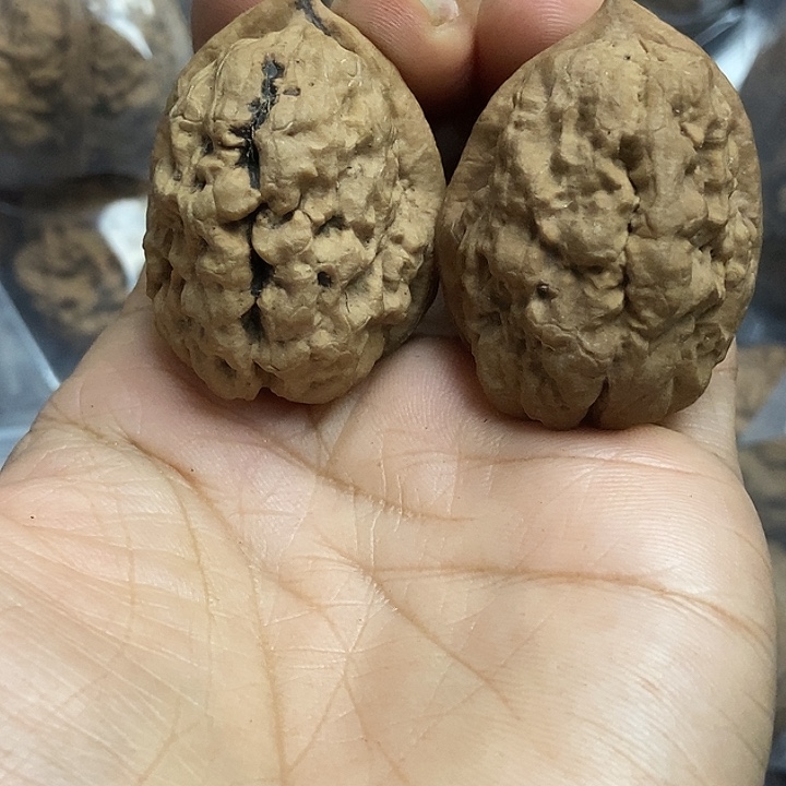 文玩核桃把件云南铁核桃基地12