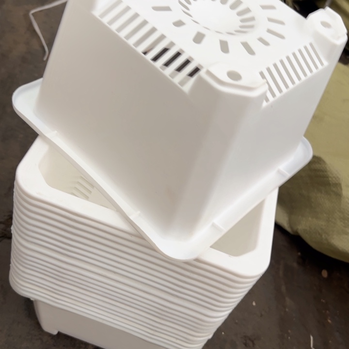 220白方盆20公分高14公分12个