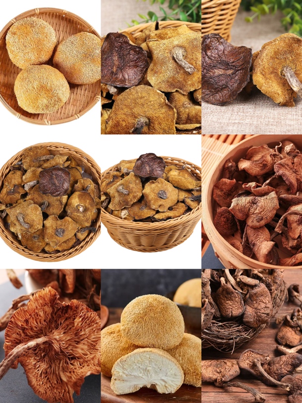 《102》来总专属土特产松菇-君0119-