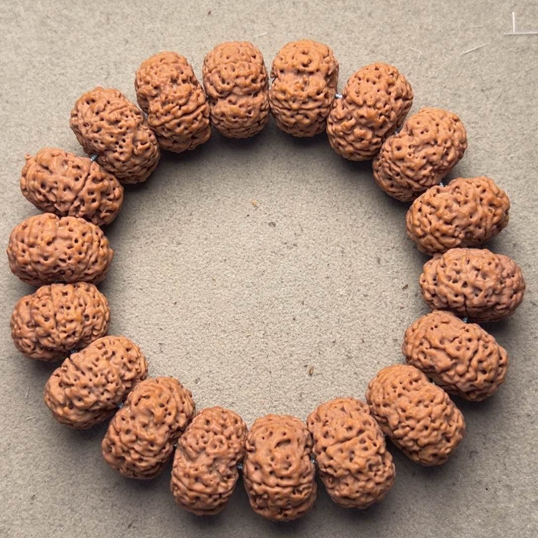 菩提26号金刚菩提蜂王夹板22