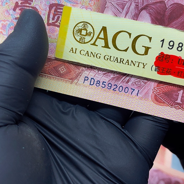 一张一张一张一张一张一张一张