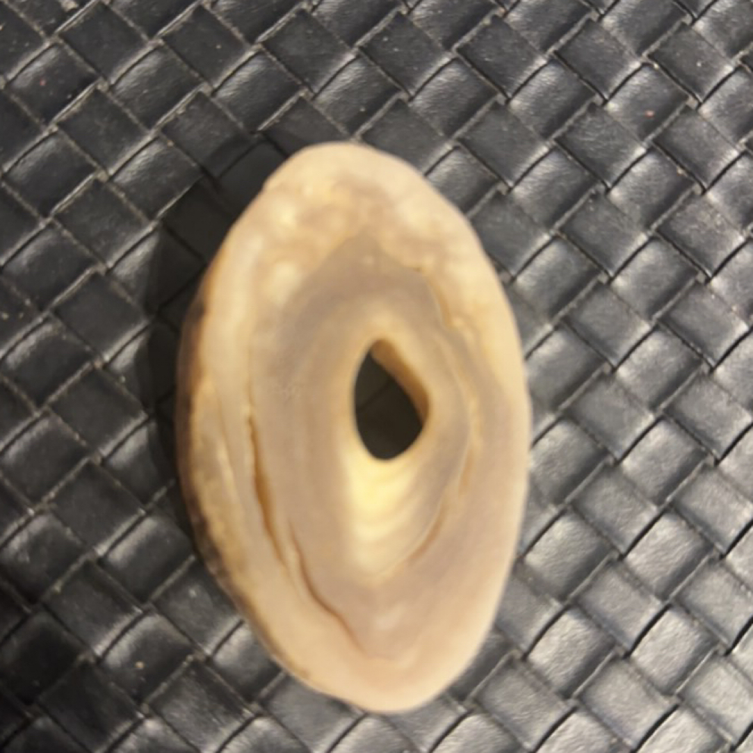 缅甸花梨大果紫檀   406