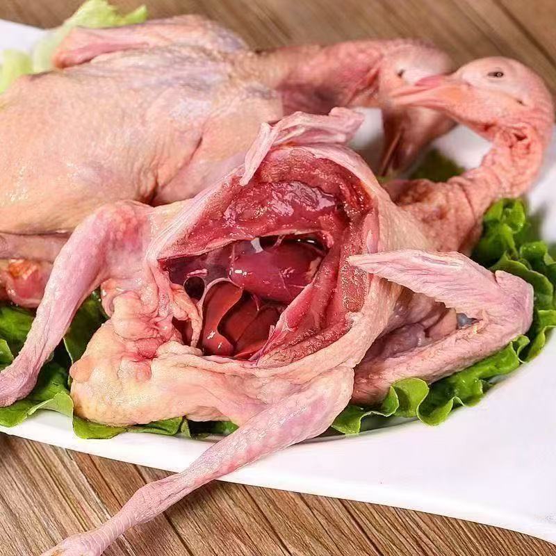 6只活鸽宰杀保留心肝急冻锁鲜鸽子肉整只带头带脚