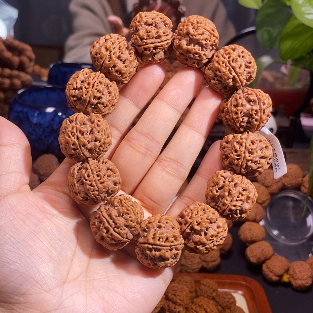 金刚菩提手串宇*燕粗筋双龙24mm