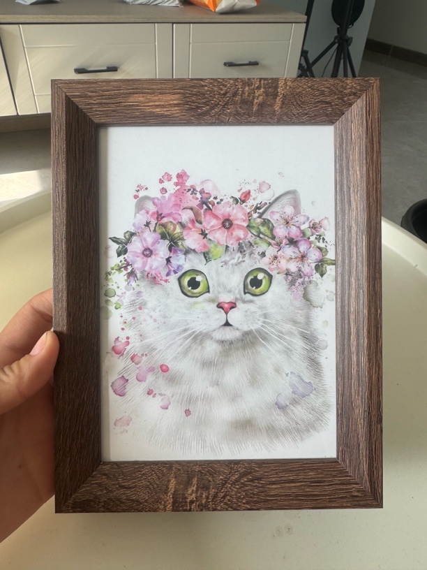 宠物优选精品相册