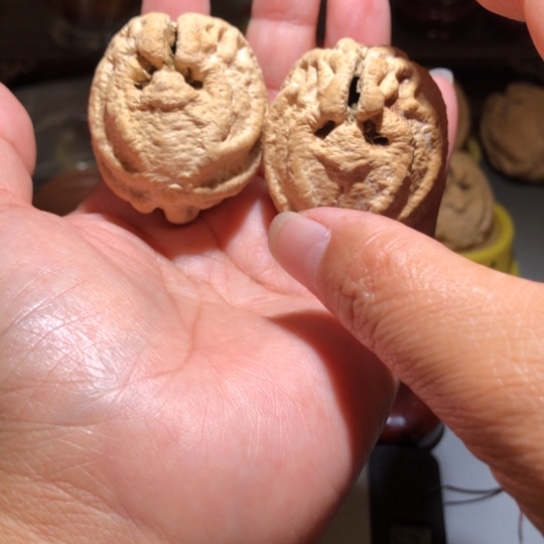 吊坠橄榄核乾坤鬼脸核39