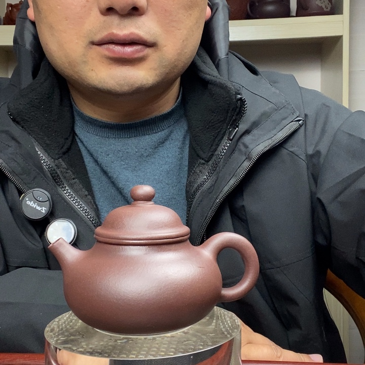 紫砂茶壶1234566254