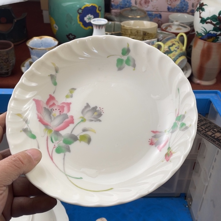 碟开播了开播了开播了