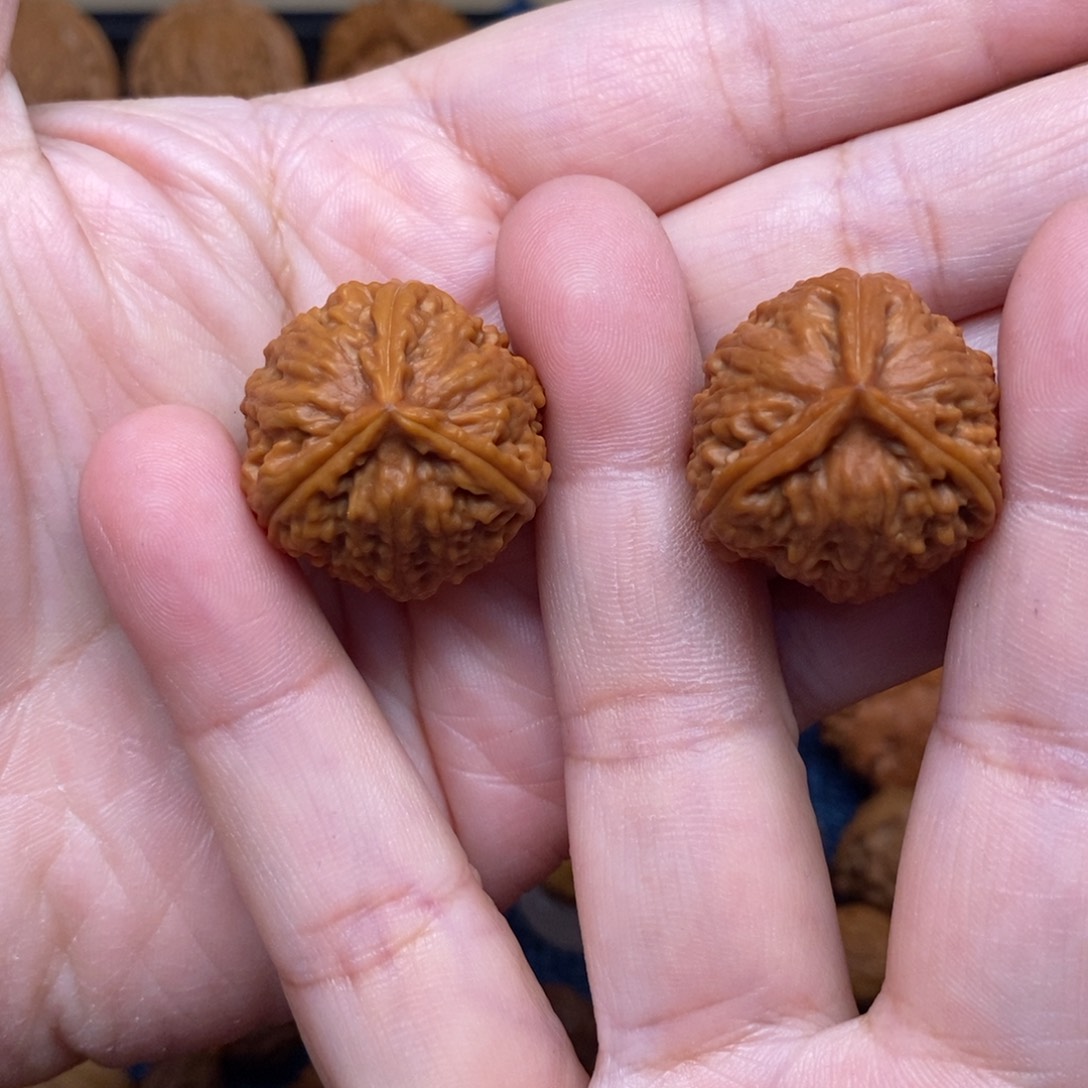 文玩核桃把件手捻正奔