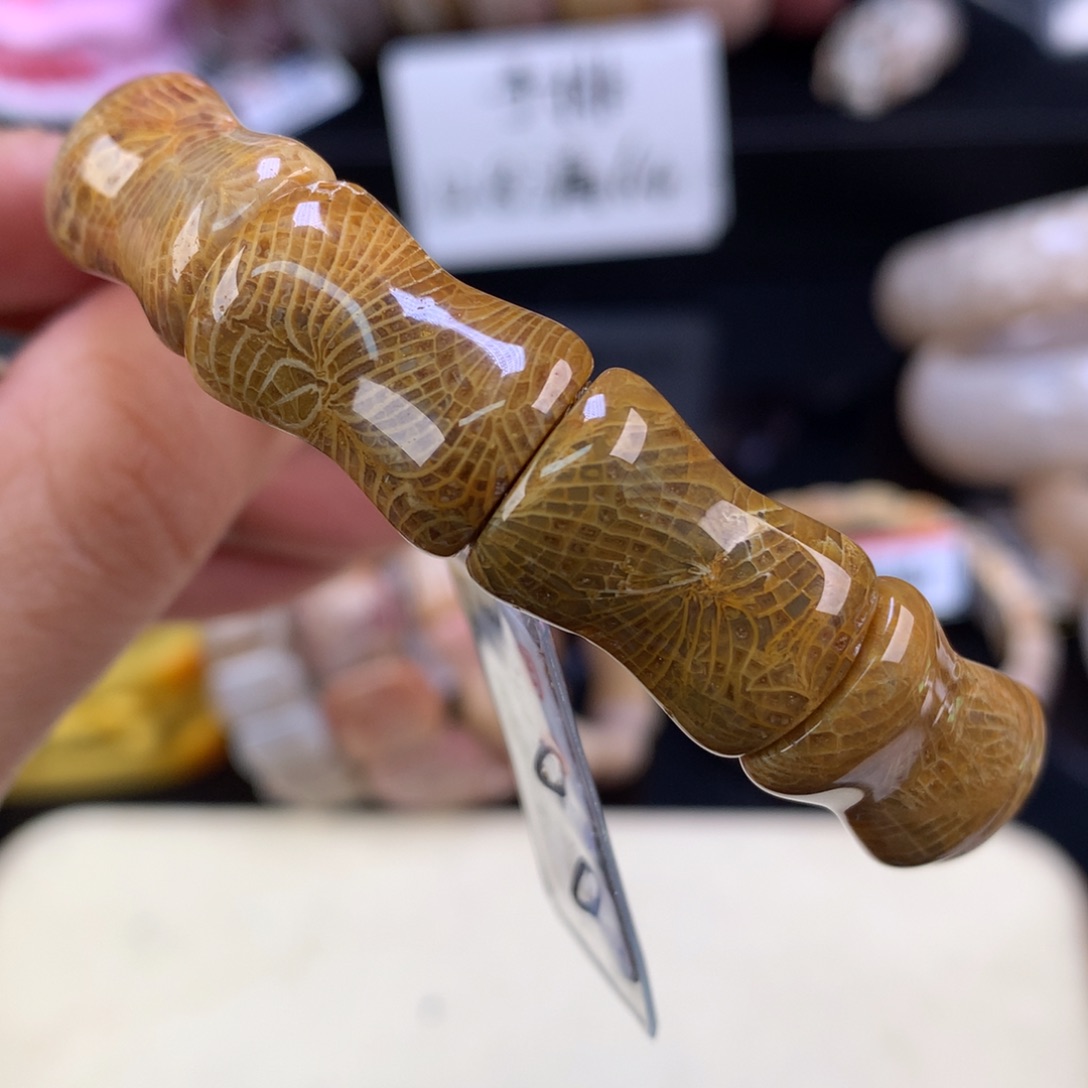 硅化珊瑚（珊瑚玉）未镶嵌吊坠(赠链)（30号）绿底凤尾