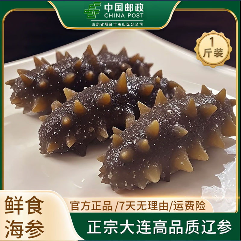 【烟台邮政】大连的甄选辽刺参鲜食海参1斤装开袋即食